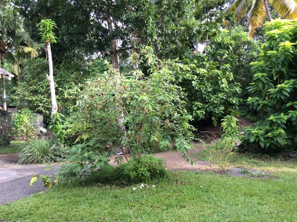 Fern Dale Villa Weligama Ruang foto